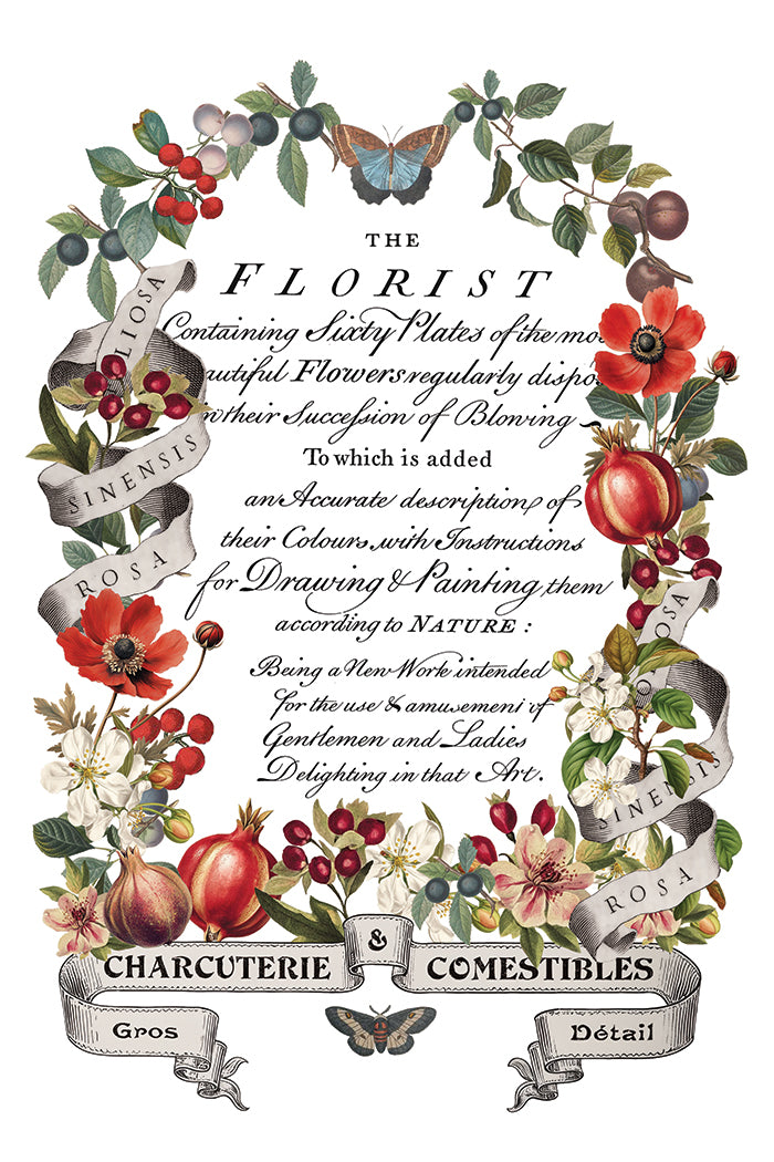 Clémentine Transfer by Iron Orchid Designs IOD Christmas 2025 Édition limitée