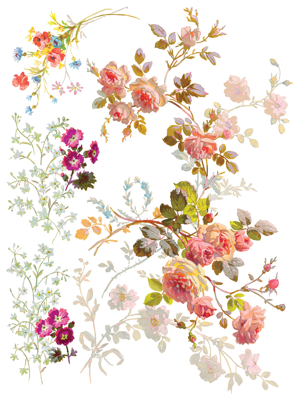 SAINT GERMAIN TRASFERIMENTO DA DESIGNI DI Iron Orchid IOD Summer 2025