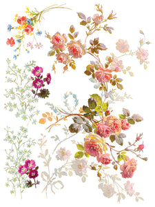 SAINT GERMAIN TRASFERIMENTO DA DESIGNI DI Iron Orchid IOD Summer 2025