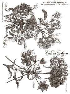 Floriographie Farbe Inlay von Iron Orchid Designs IOD Sommer 2025