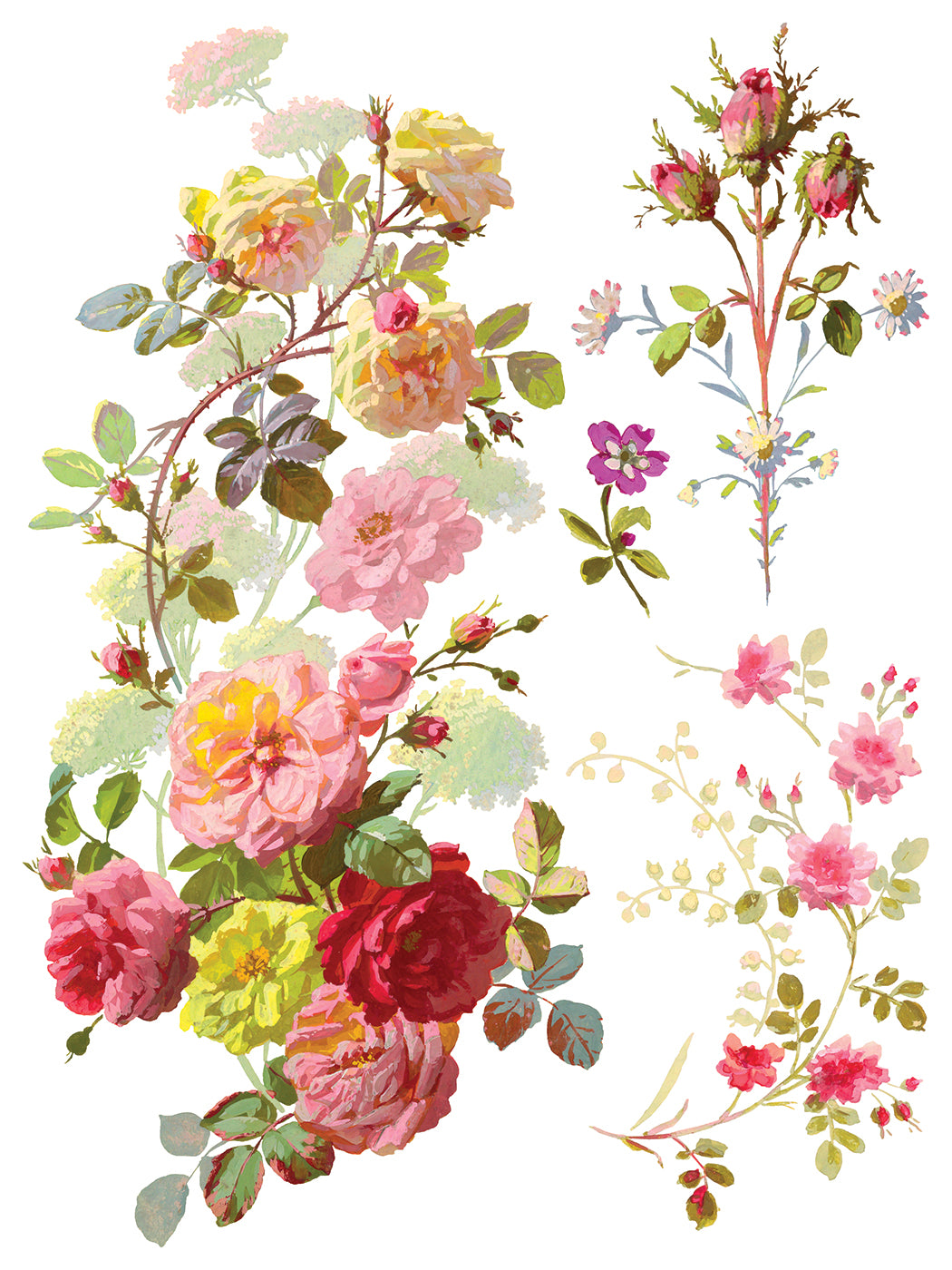 SAINT GERMAIN TRASFERIMENTO DA DESIGNI DI Iron Orchid IOD Summer 2025