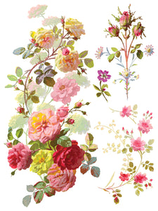 SAINT GERMAIN TRASFERIMENTO DA DESIGNI DI Iron Orchid IOD Summer 2025