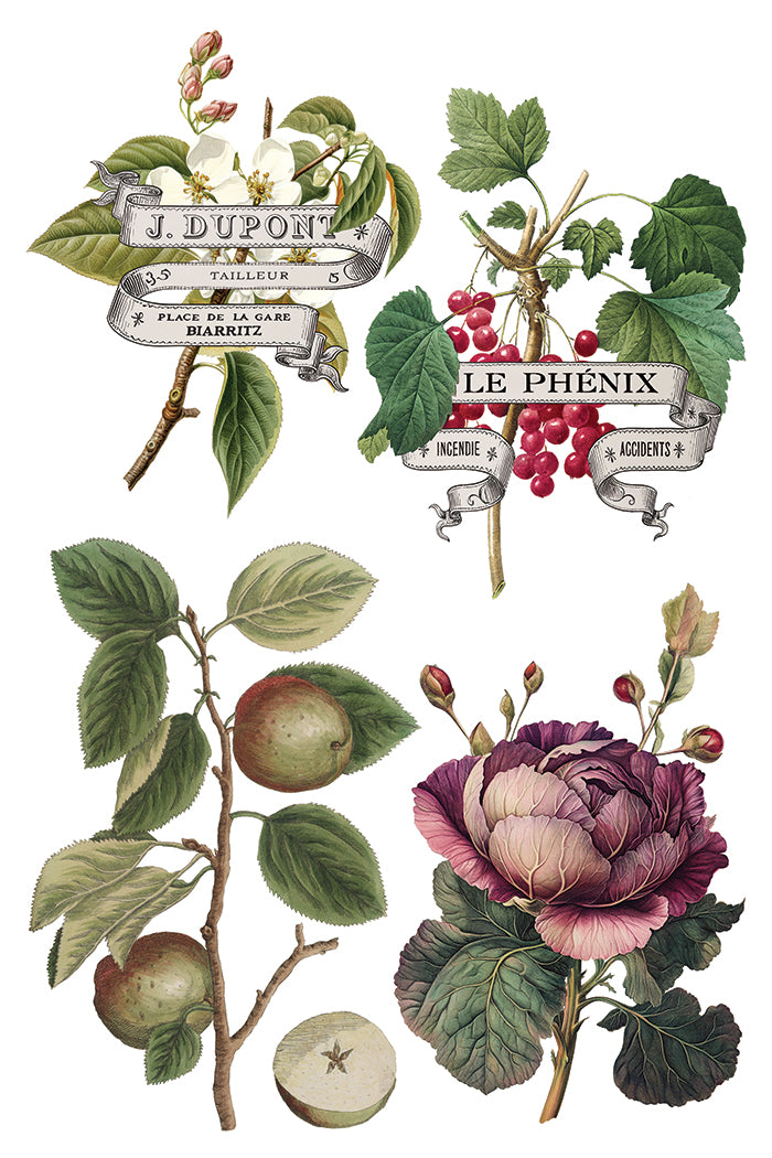 Clémentine Transfer by Iron Orchid Designs IOD Christmas 2025 Édition limitée