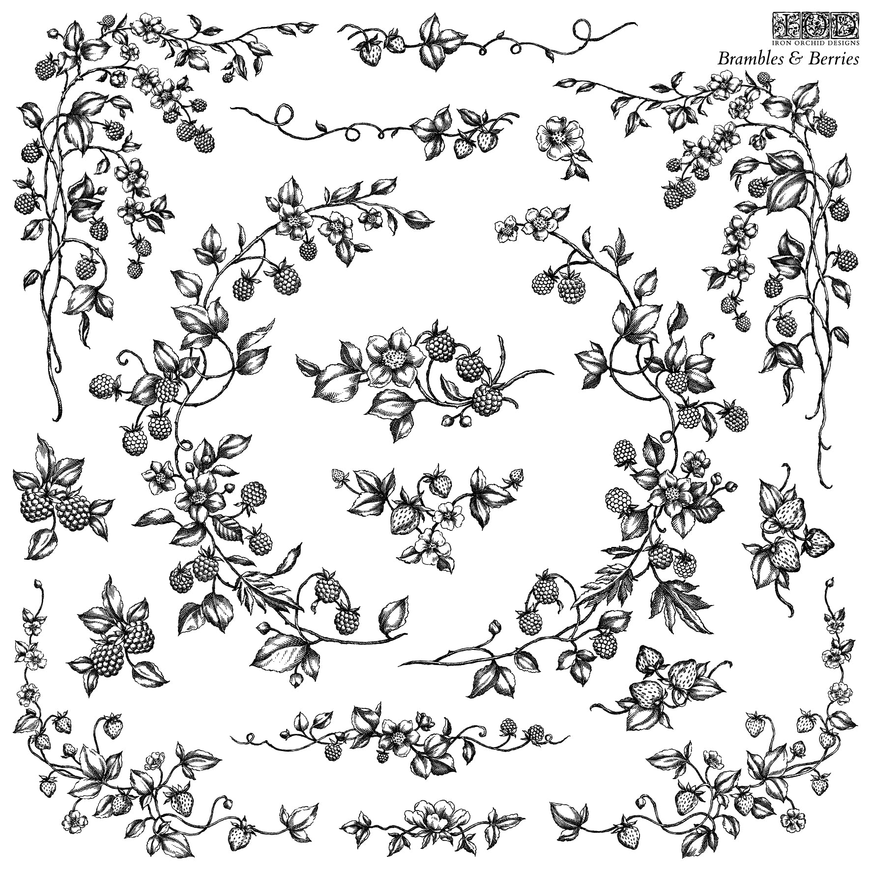 Brambles & Berries Stamp by Iron Orchid Designs IOD SPRING 2025