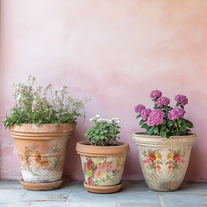 SAINT GERMAIN TRASFERIMENTO DA DESIGNI DI Iron Orchid IOD Summer 2025