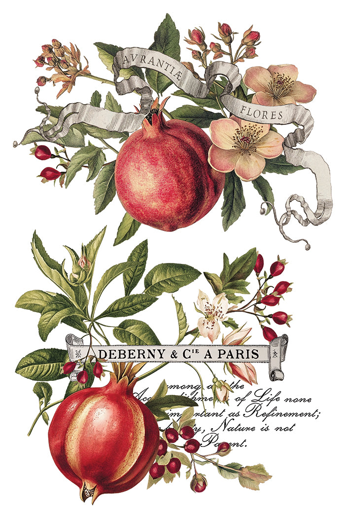 Clémentine Transfer by Iron Orchid Designs IOD Christmas 2025 Édition limitée