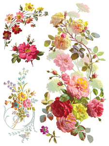 SAINT GERMAIN TRASFERIMENTO DA DESIGNI DI Iron Orchid IOD Summer 2025