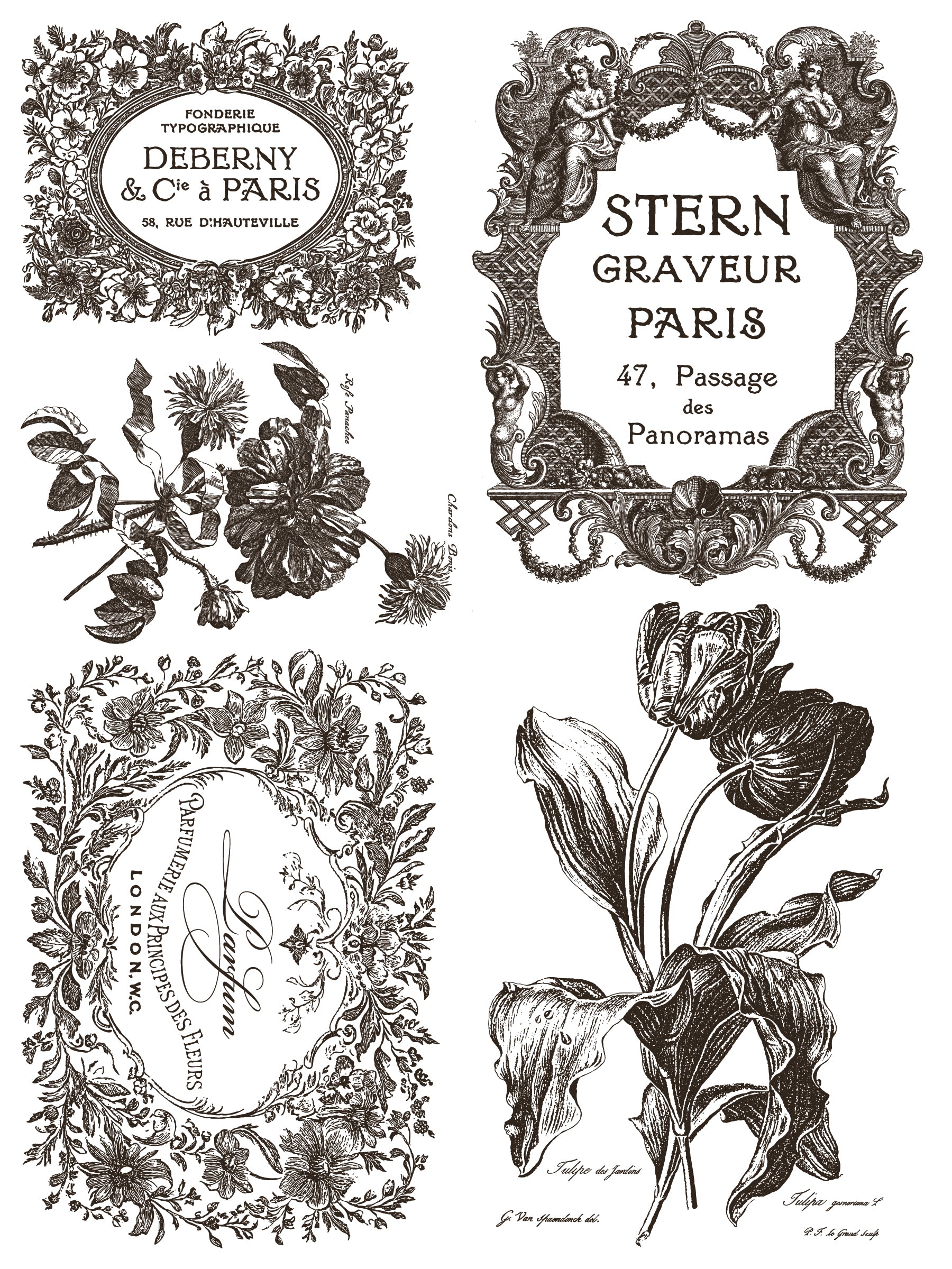Floriographie Farbe Inlay von Iron Orchid Designs IOD Sommer 2025