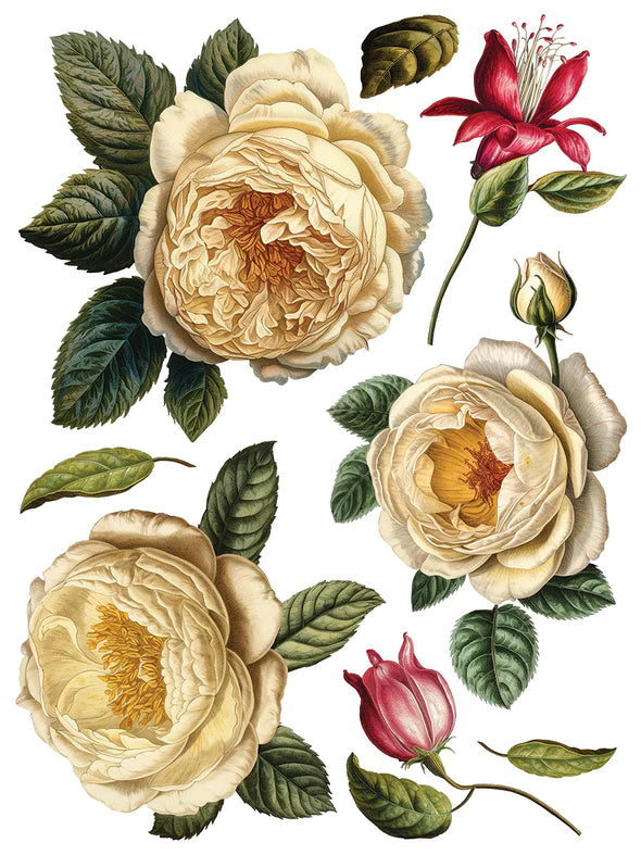 Collage de Fleurs Transfer por Iron Orchid Designs IOD