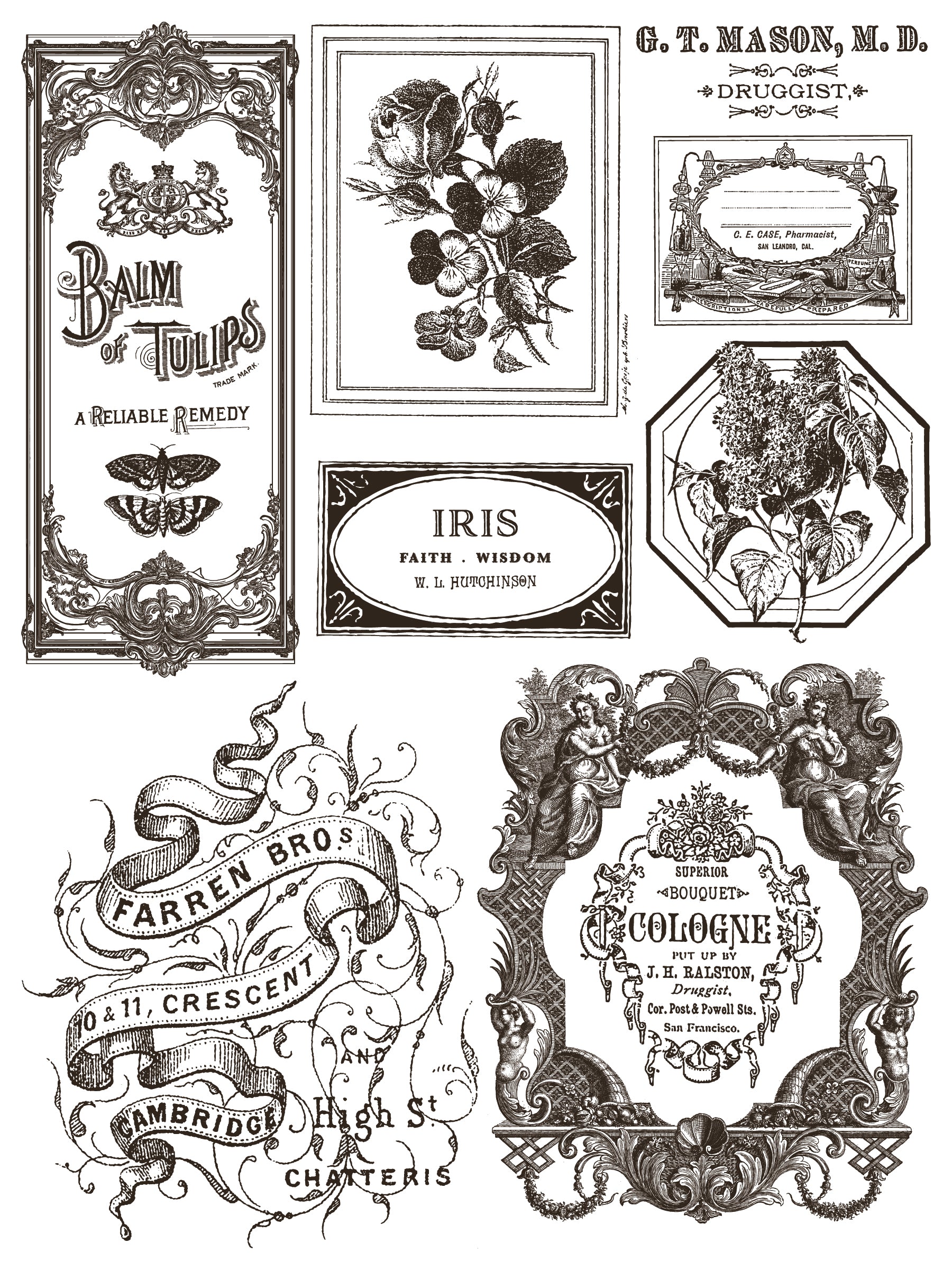 Floriographie Farbe Inlay von Iron Orchid Designs IOD Sommer 2025