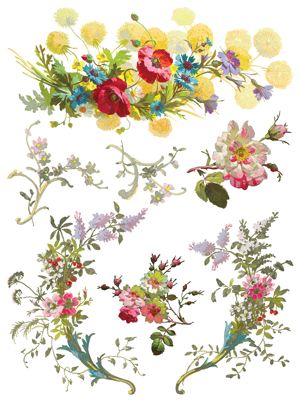 SAINT GERMAIN TRASFERIMENTO DA DESIGNI DI Iron Orchid IOD Summer 2025
