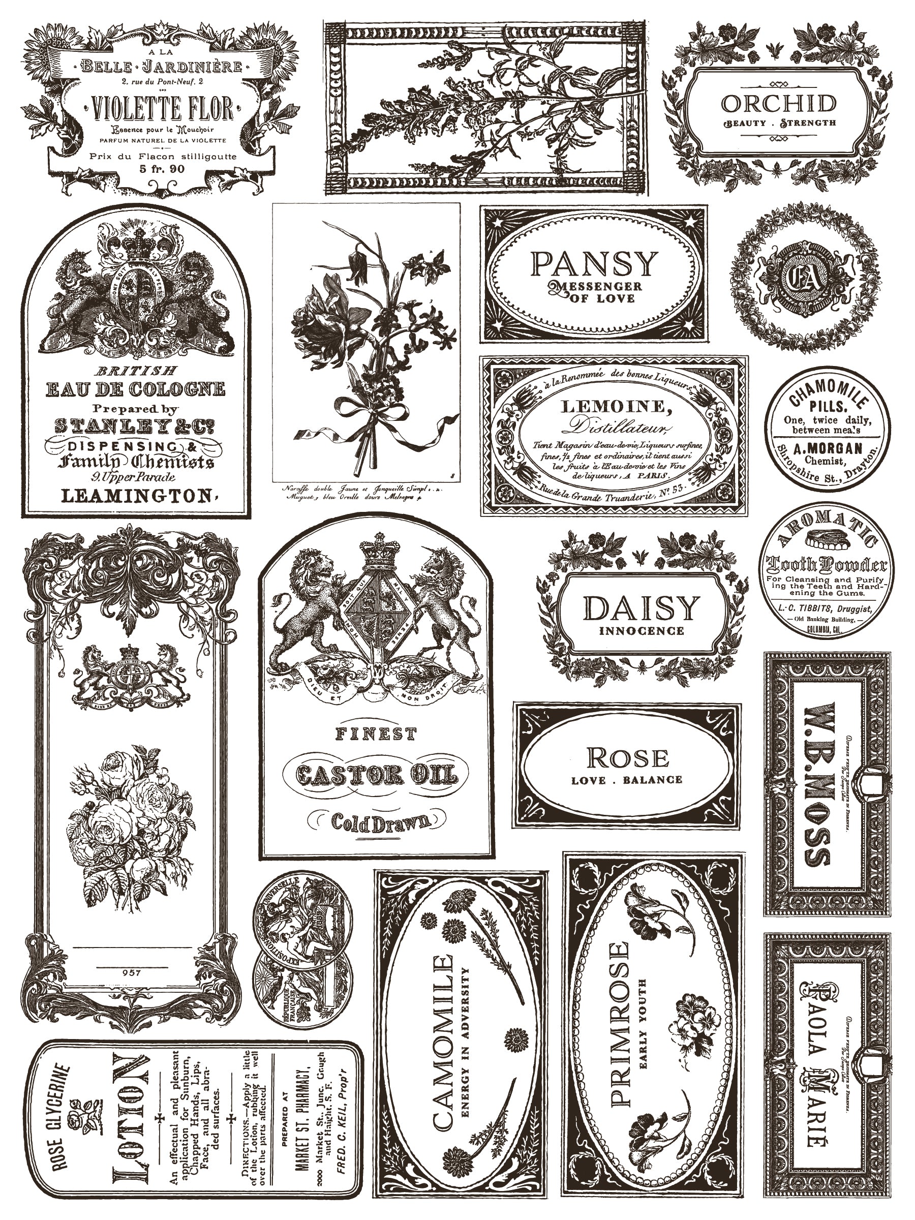 Floriographie Farbe Inlay von Iron Orchid Designs IOD Sommer 2025