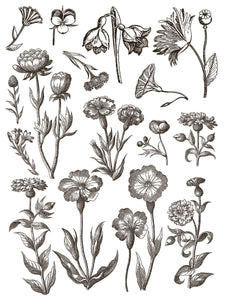 Floriographie Farbe Inlay von Iron Orchid Designs IOD Sommer 2025