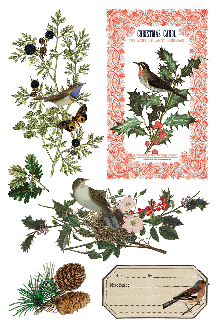 Trasferimento botanico invernale da Iron Orchid Designs Iod Christmas 2025 Limited Edition