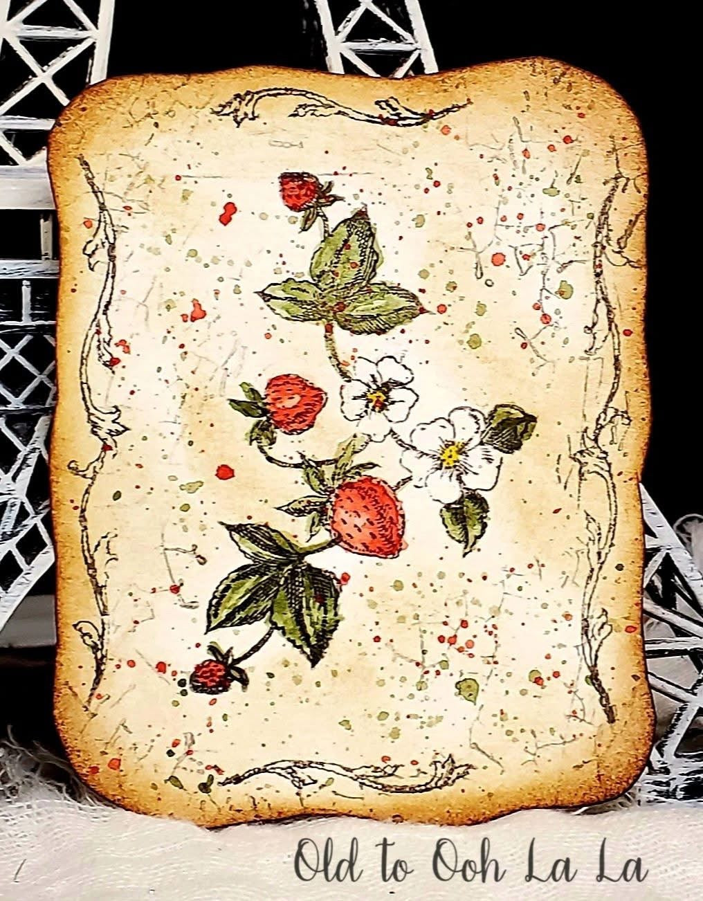 Brambles & Berries Stamp by Iron Orchid Designs IOD SPRING 2025