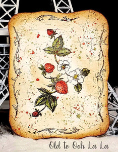 Brambles & Berries Stamp by Iron Orchid Designs IOD SPRING 2025