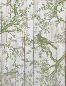 Shade & Song Stamp by Iron Orchid Designs SPRING 2025