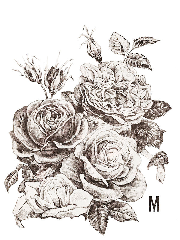 Il trasferimento delle rose di maggio tramite disegni di orchidea di ferro iod