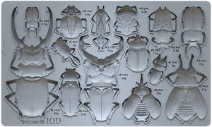 Specimens Mould by Iron Orchid Designs IOD PRE-ORDER