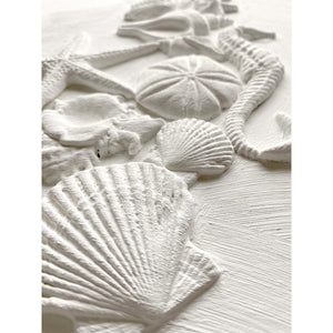 Sea Shell Mould by Iron Orchid Designs