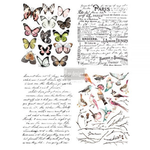 Pariser Schmetterlinge