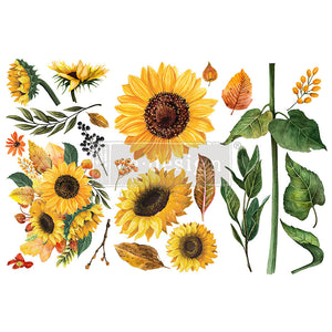 Sunflower Afternoon Decor Transfer, Redesign with Prima