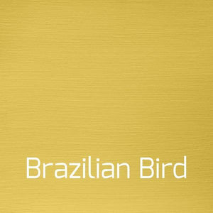 Brazilian Bird - Vintage-Vintage-Autentico Paint Online