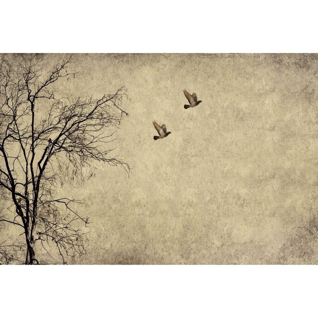 Papier de découpage des oiseaux volants, menthe par Michelle
