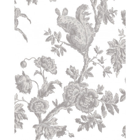 Grisaille Toile Paint Incru