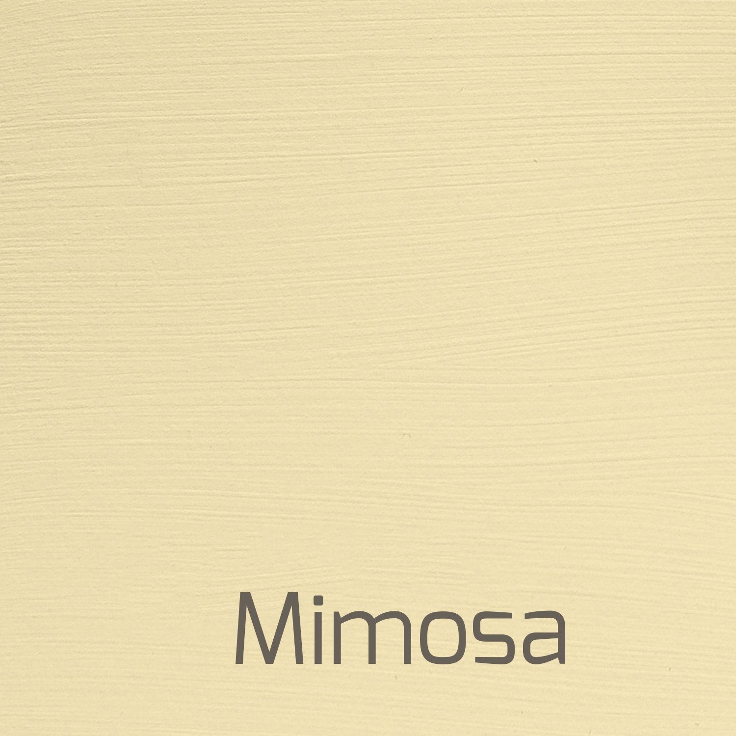Mimosa - Versante Matt-Versante Matt-Autentico Paint Online