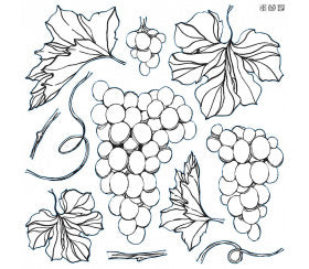 Stamp di arredamento dell'uva da disegni di orchidee di ferro, iod