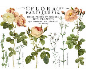 Flora Pariensis Transfert par Iron Orchid Designs IOD