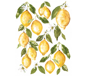 Transferencia de caída de limón por diseños de orquídeas de hierro