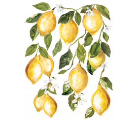 Transferencia de caída de limón por diseños de orquídeas de hierro