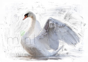 Paper de découpage à la menthe blanc Swan